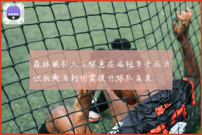 森林狼引入三球意在减轻华子压力但抗衡马刺仍需提升球队高度